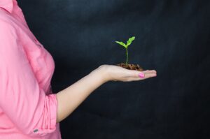 Decorative: woman's hand holding a seedling.